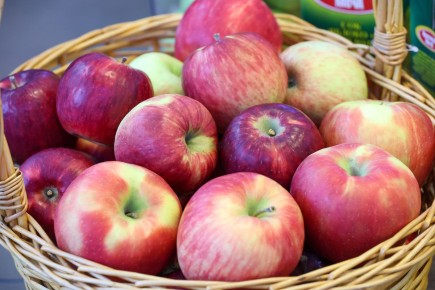 ����� �������� ������: ����� ����� ������ ���������