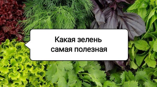 ������ �� ������ ����: ���� ����� �������� ����� ��� ������ ��������