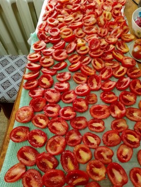 ��� ��������� ������ ������: ������� � ������