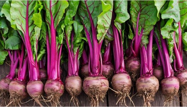 Свекольный салат с картофелем и ветчиной: насыщенный вкус и здоровье в одной тарелке