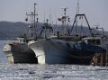 Рынок труда рыбалки: зарплаты растут, а спрос на кадры увеличивается
